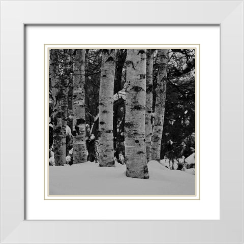 Winter Wood White Modern Wood Framed Art Print with Double Matting by Phillip, Jamie