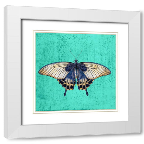 Butterfly White Modern Wood Framed Art Print with Double Matting by Phillip, Jamie