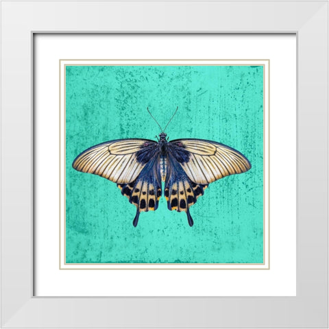 Butterfly White Modern Wood Framed Art Print with Double Matting by Phillip, Jamie