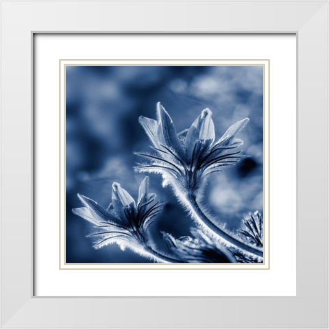 In Due Time White Modern Wood Framed Art Print with Double Matting by Phillip, Jamie