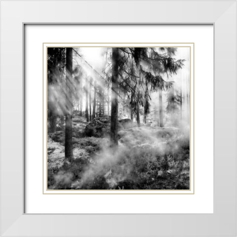 Black Forest 2 White Modern Wood Framed Art Print with Double Matting by Phillip, Jamie