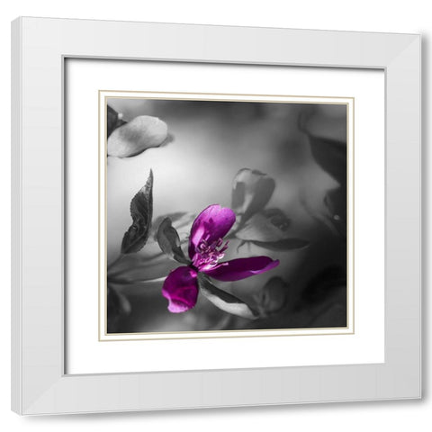 Purple Rain White Modern Wood Framed Art Print with Double Matting by Phillip, Jamie