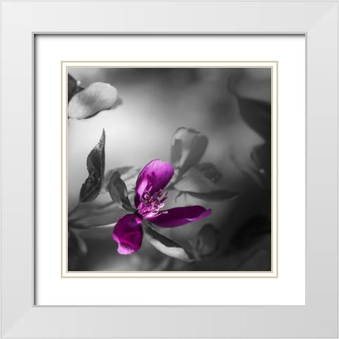 Purple Rain White Modern Wood Framed Art Print with Double Matting by Phillip, Jamie