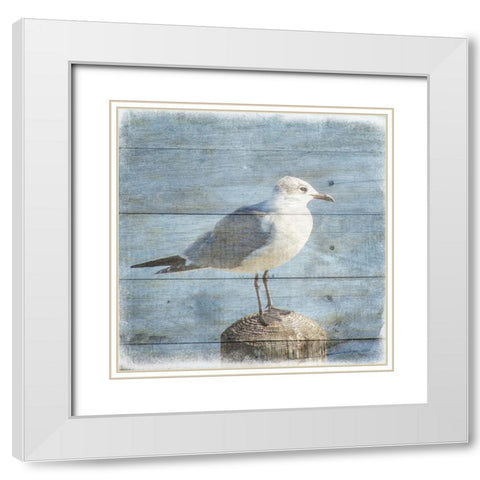 Marquis Bay 3 White Modern Wood Framed Art Print with Double Matting by Phillip, Jamie