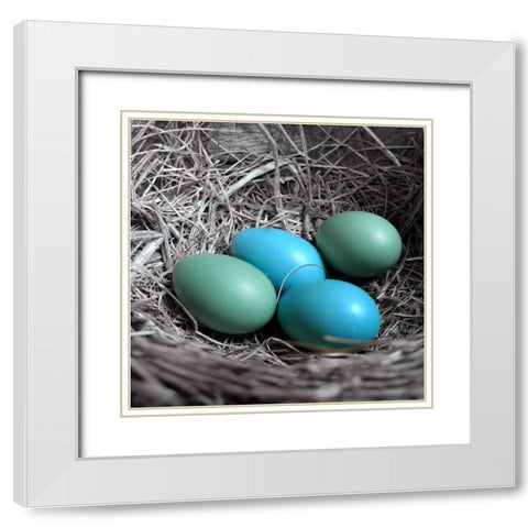 Blue Farm White Modern Wood Framed Art Print with Double Matting by Phillip, Jamie