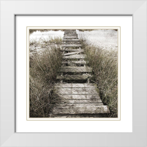 Marshland Quack 1 White Modern Wood Framed Art Print with Double Matting by Phillip, Jamie