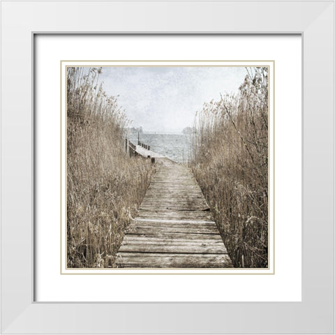 Marshland Quack 2 White Modern Wood Framed Art Print with Double Matting by Phillip, Jamie