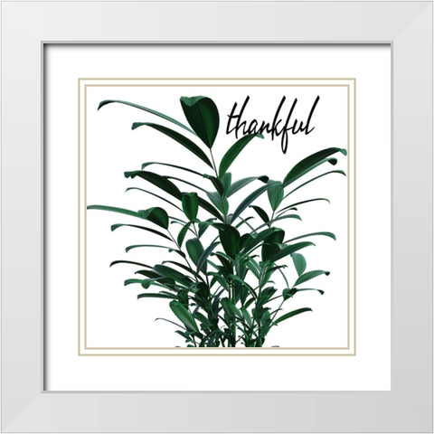 Thankful White Modern Wood Framed Art Print with Double Matting by Phillip, Jamie