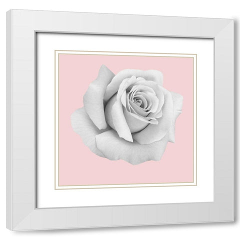 Rose Gold White Modern Wood Framed Art Print with Double Matting by Phillip, Jamie