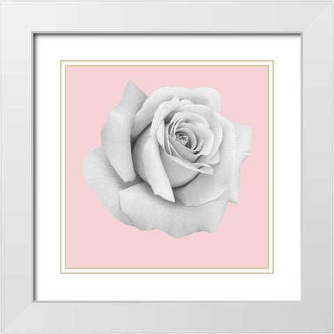 Rose Gold White Modern Wood Framed Art Print with Double Matting by Phillip, Jamie