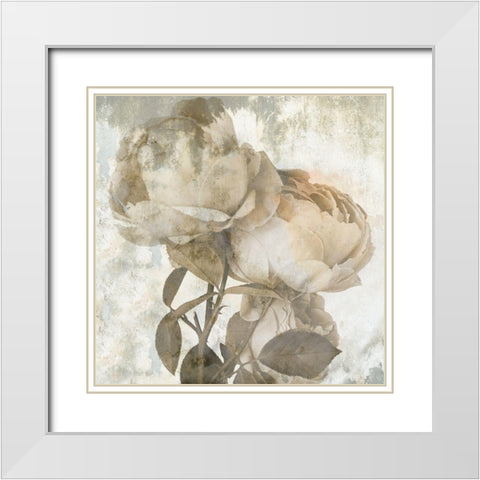 Love Rose White Modern Wood Framed Art Print with Double Matting by Phillip, Jamie