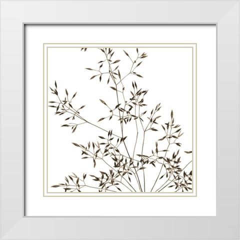Rose Fillers 2 White Modern Wood Framed Art Print with Double Matting by Phillip, Jamie