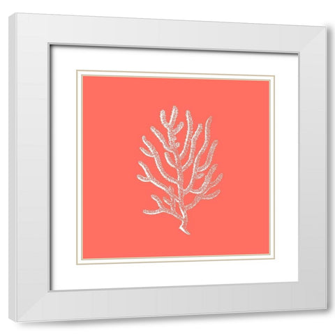 Coral 2 White Modern Wood Framed Art Print with Double Matting by Phillip, Jamie