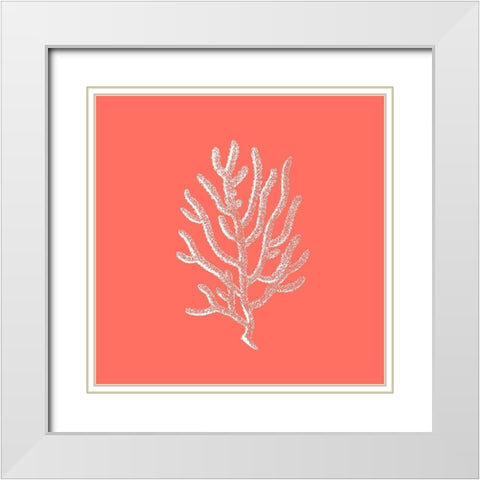 Coral 2 White Modern Wood Framed Art Print with Double Matting by Phillip, Jamie