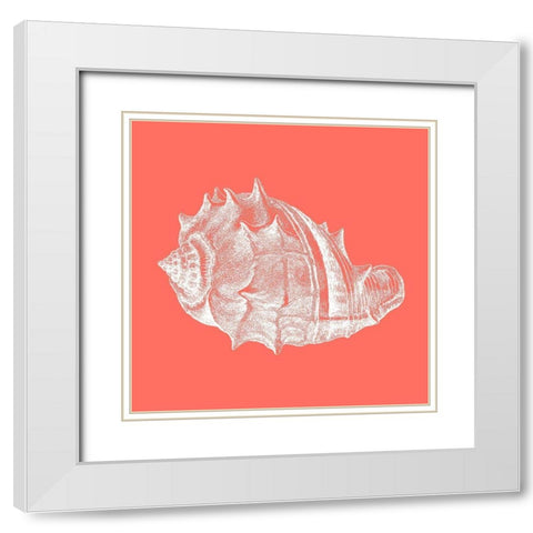 Coral 3 White Modern Wood Framed Art Print with Double Matting by Phillip, Jamie