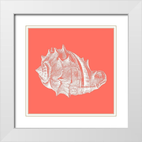 Coral 3 White Modern Wood Framed Art Print with Double Matting by Phillip, Jamie