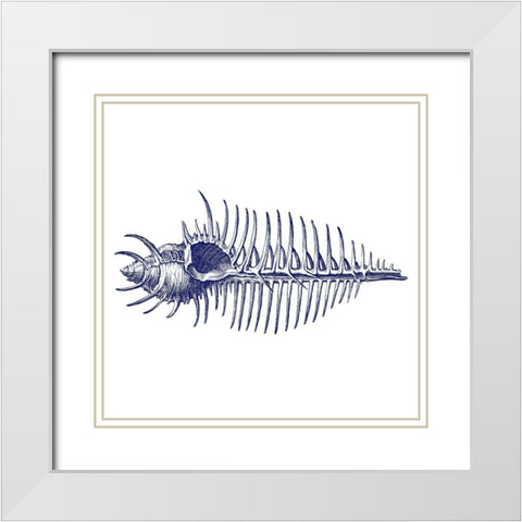 Coral 4 White Modern Wood Framed Art Print with Double Matting by Phillip, Jamie