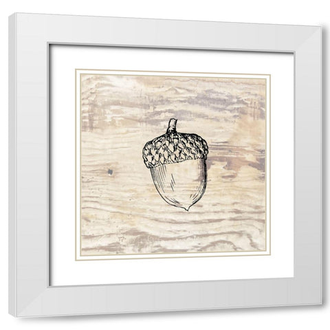 Fall Acorn White Modern Wood Framed Art Print with Double Matting by Phillip, Jamie