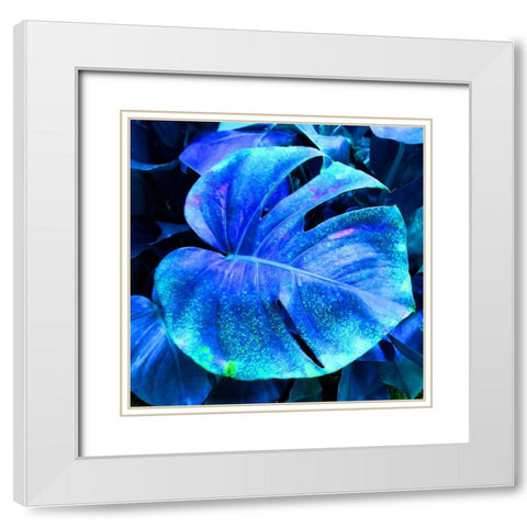 Blue Pacific  White Modern Wood Framed Art Print with Double Matting by Phillip, Jamie