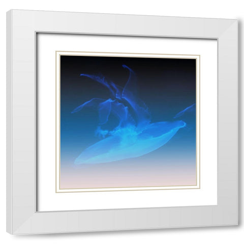 Xray Jelly White Modern Wood Framed Art Print with Double Matting by Phillip, Jamie