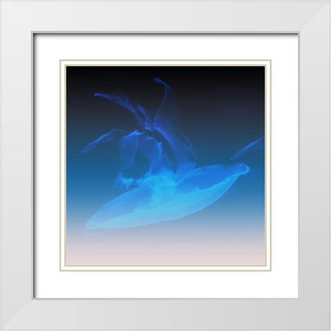 Xray Jelly White Modern Wood Framed Art Print with Double Matting by Phillip, Jamie