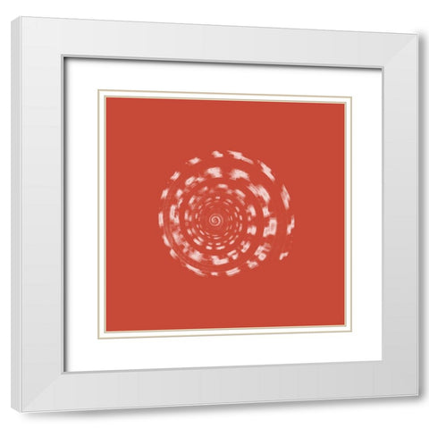 Coral Shell White Modern Wood Framed Art Print with Double Matting by Phillip, Jamie