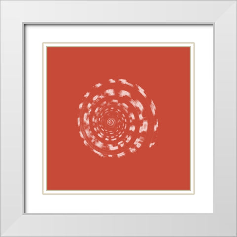 Coral Shell White Modern Wood Framed Art Print with Double Matting by Phillip, Jamie