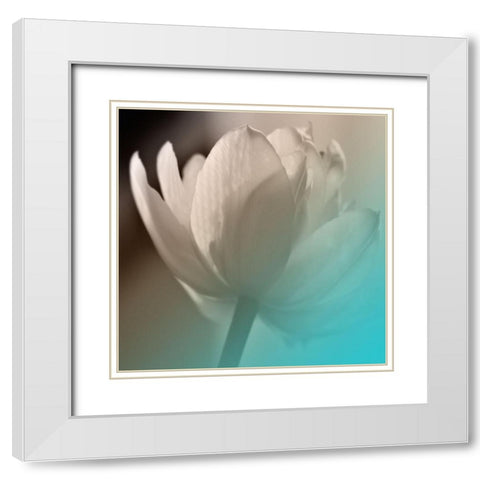 Xray Lip White Modern Wood Framed Art Print with Double Matting by Phillip, Jamie