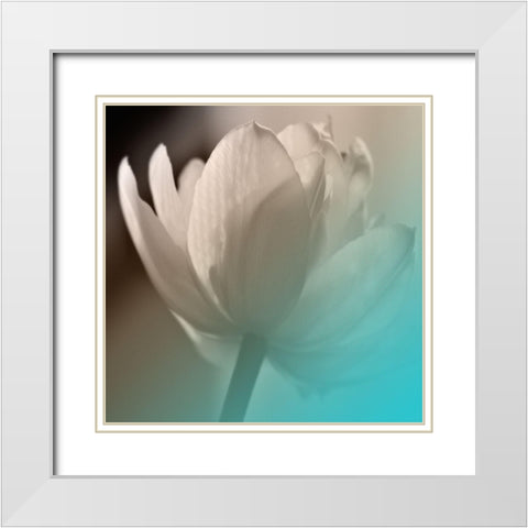 Xray Lip White Modern Wood Framed Art Print with Double Matting by Phillip, Jamie