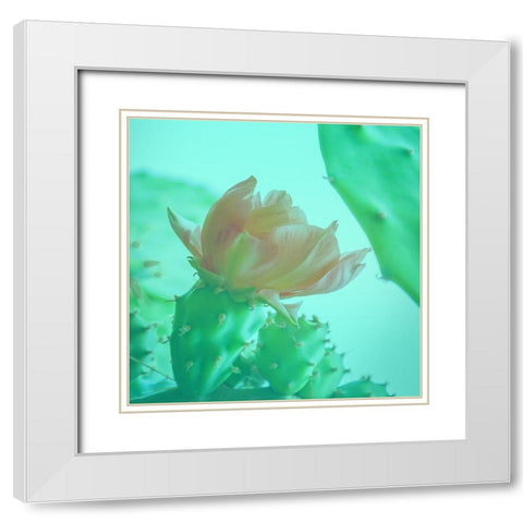 Mello Cactus White Modern Wood Framed Art Print with Double Matting by Phillip, Jamie