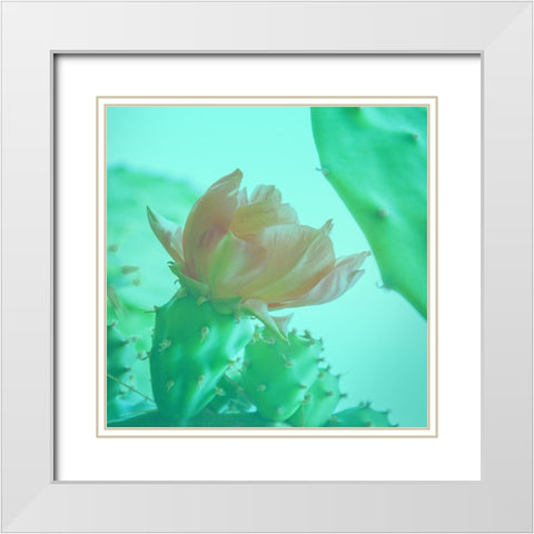 Mello Cactus White Modern Wood Framed Art Print with Double Matting by Phillip, Jamie