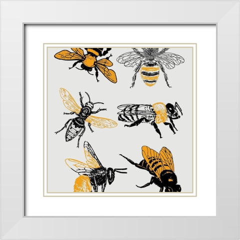 Honey Bees White Modern Wood Framed Art Print with Double Matting by Phillip, Jamie