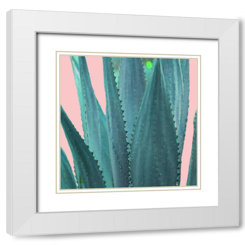 Succulent White Modern Wood Framed Art Print with Double Matting by Phillip, Jamie