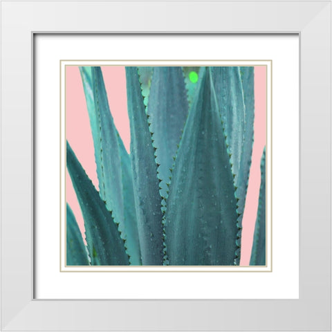 Succulent White Modern Wood Framed Art Print with Double Matting by Phillip, Jamie