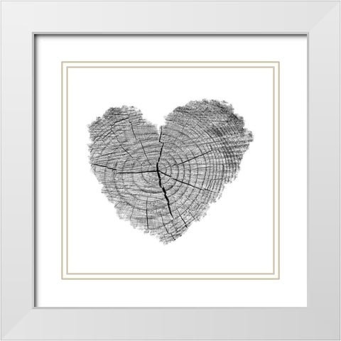Love Stump 1 White Modern Wood Framed Art Print with Double Matting by Phillip, Jamie