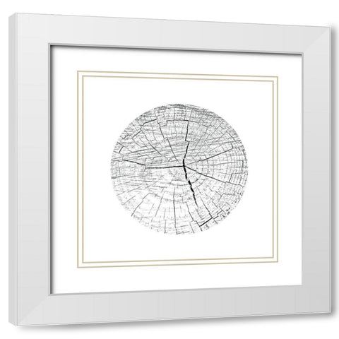 Love Stump 3 White Modern Wood Framed Art Print with Double Matting by Phillip, Jamie