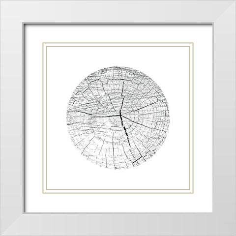 Love Stump 3 White Modern Wood Framed Art Print with Double Matting by Phillip, Jamie