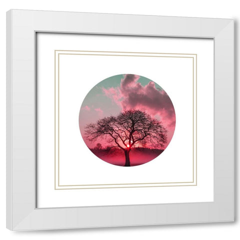 Nature White Modern Wood Framed Art Print with Double Matting by Phillip, Jamie