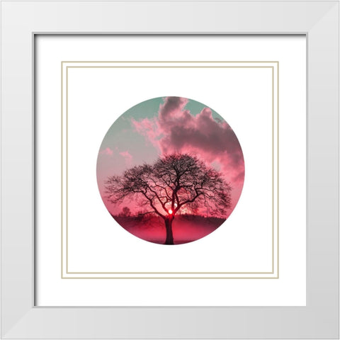 Nature White Modern Wood Framed Art Print with Double Matting by Phillip, Jamie