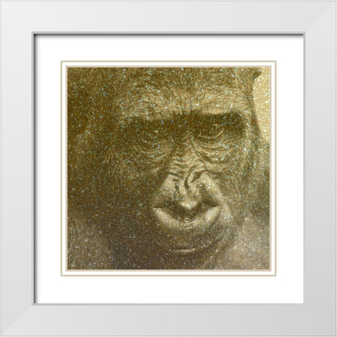 Animal White Modern Wood Framed Art Print with Double Matting by Phillip, Jamie