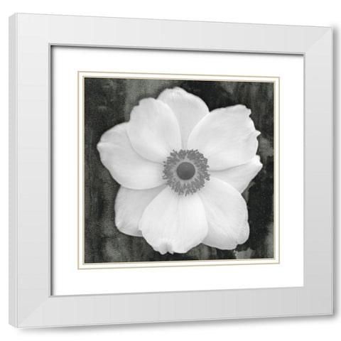 White Flower White Modern Wood Framed Art Print with Double Matting by Phillip, Jamie