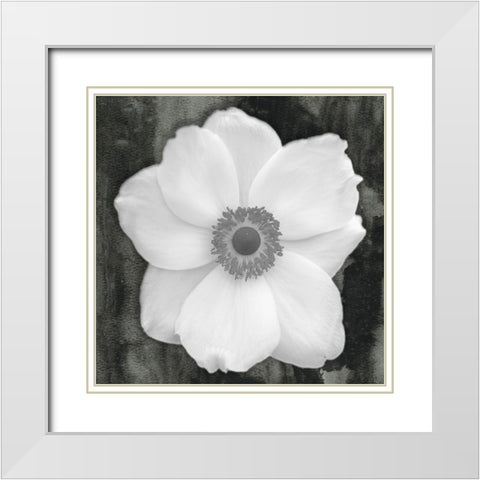 White Flower White Modern Wood Framed Art Print with Double Matting by Phillip, Jamie