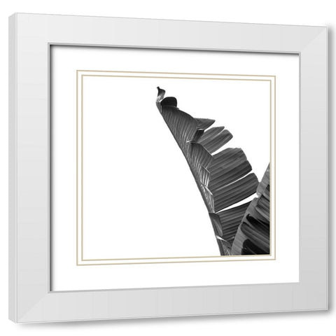 Banana White Modern Wood Framed Art Print with Double Matting by Phillip, Jamie