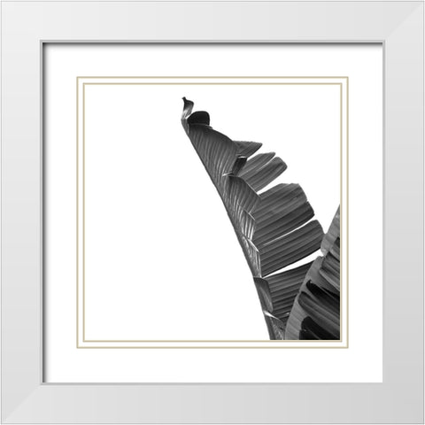Banana White Modern Wood Framed Art Print with Double Matting by Phillip, Jamie
