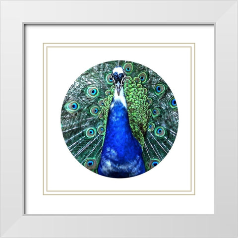 Round Peacock White Modern Wood Framed Art Print with Double Matting by Phillip, Jamie