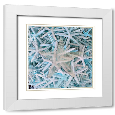 Beach Star White Modern Wood Framed Art Print with Double Matting by Phillip, Jamie
