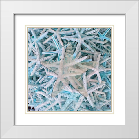Beach Star White Modern Wood Framed Art Print with Double Matting by Phillip, Jamie