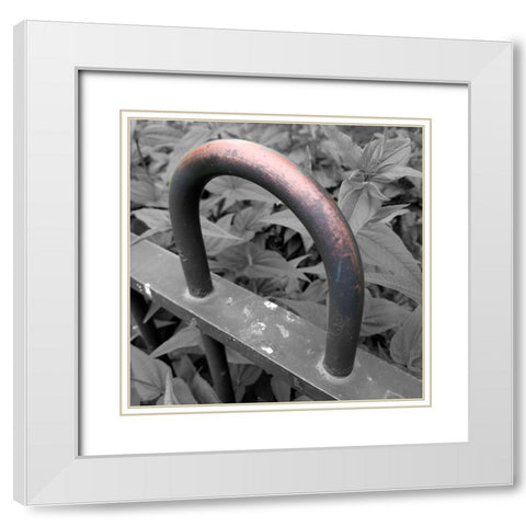 Brass 2 White Modern Wood Framed Art Print with Double Matting by Phillip, Jamie