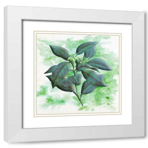 Watercolor Flowers 2 White Modern Wood Framed Art Print with Double Matting by Phillip, Jamie
