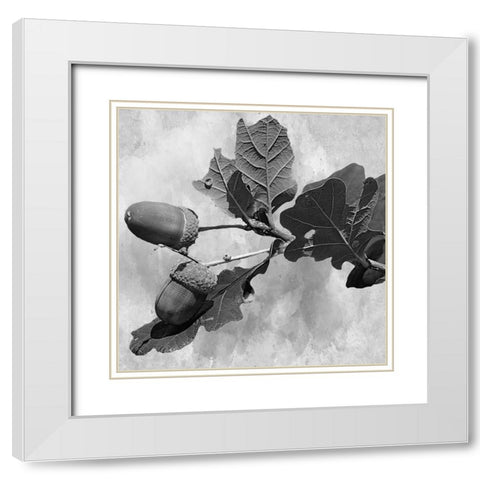Botanical Trail White Modern Wood Framed Art Print with Double Matting by Phillip, Jamie